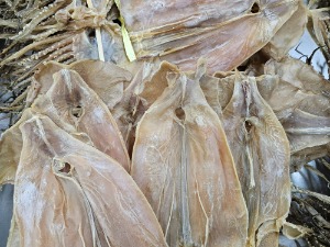 구룡포 해풍 마른 오징어 파품
